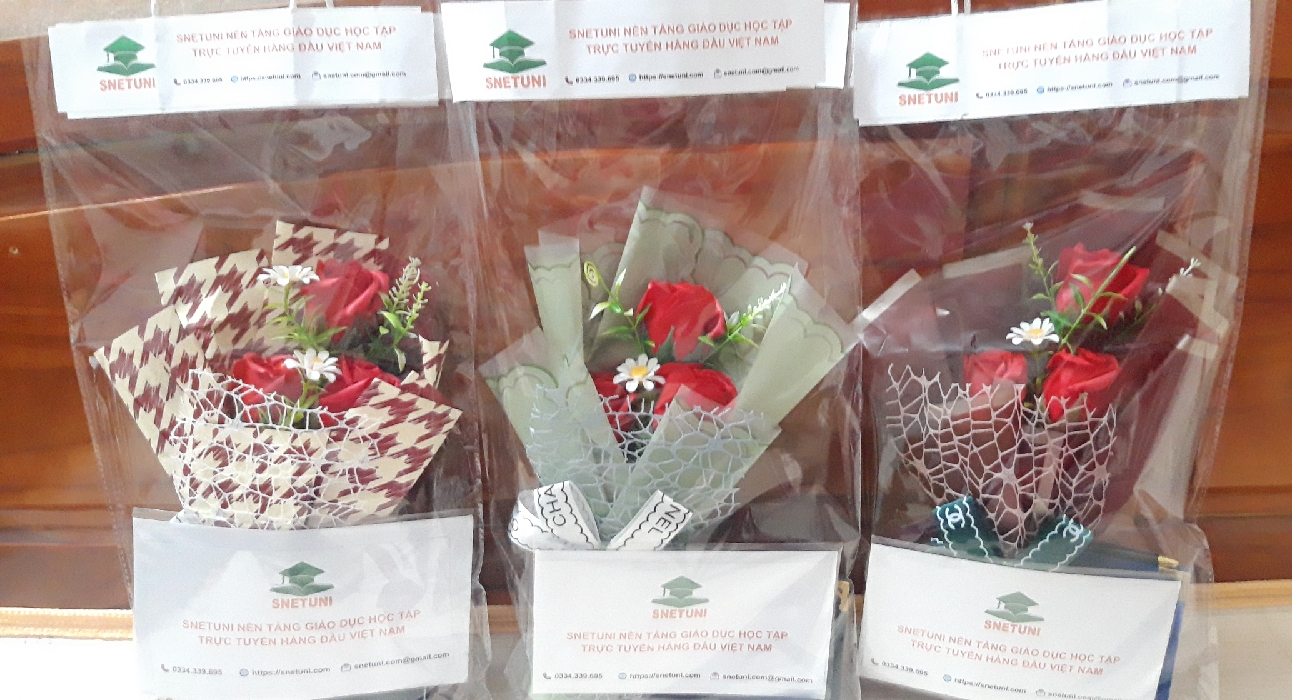 Chào Mừng Ngày Nhà Giáo Việt Nam Tại SnetUni: Gửi Vạn Đóa Hoa Vạn Câu Chúc Thay Lời Tri Ân Sâu Sắc
